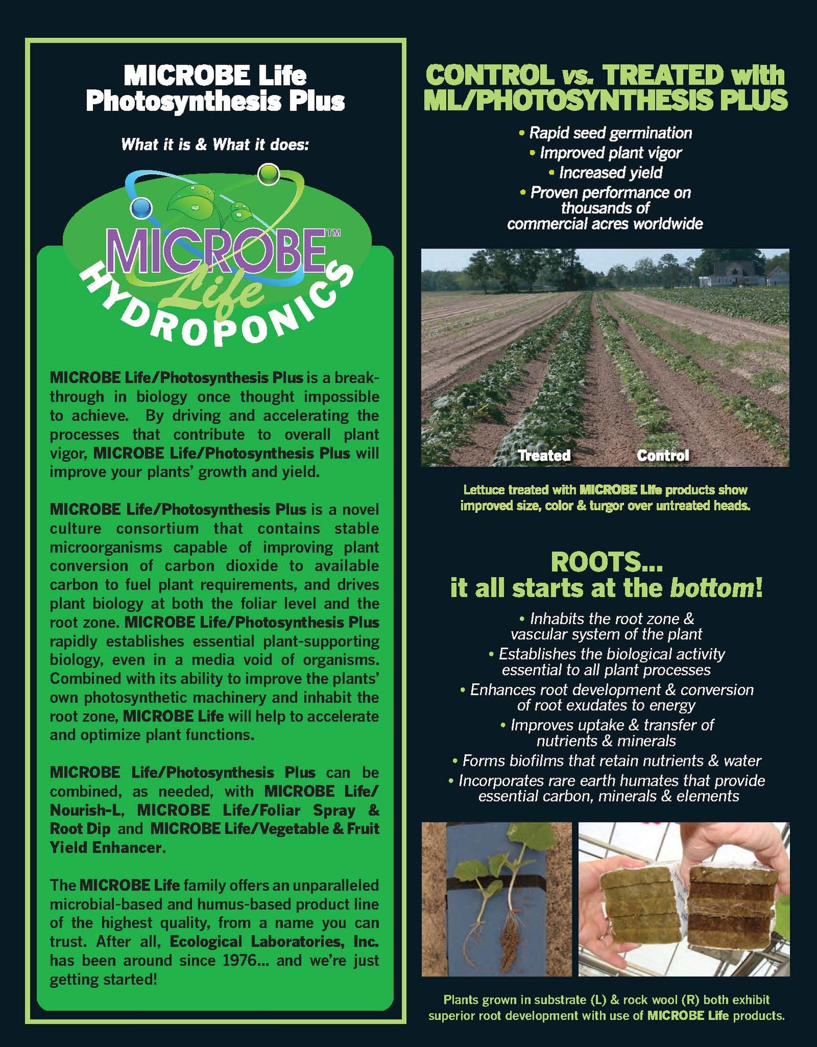 Photosynthesis Plus Pint M773813