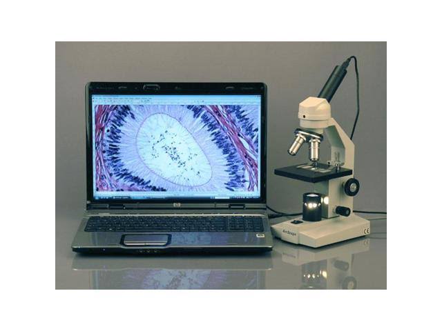 40X-640X Student Compound Microscope with Mechanical Stage Y368258
