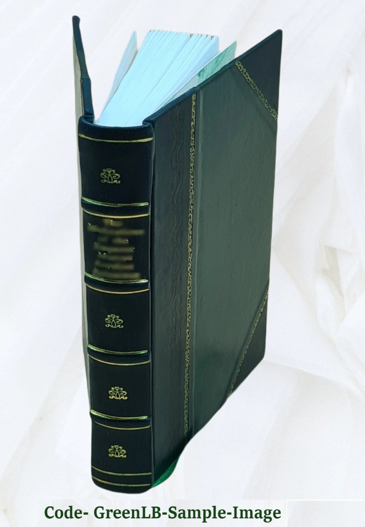 Leather Bound Book O905909