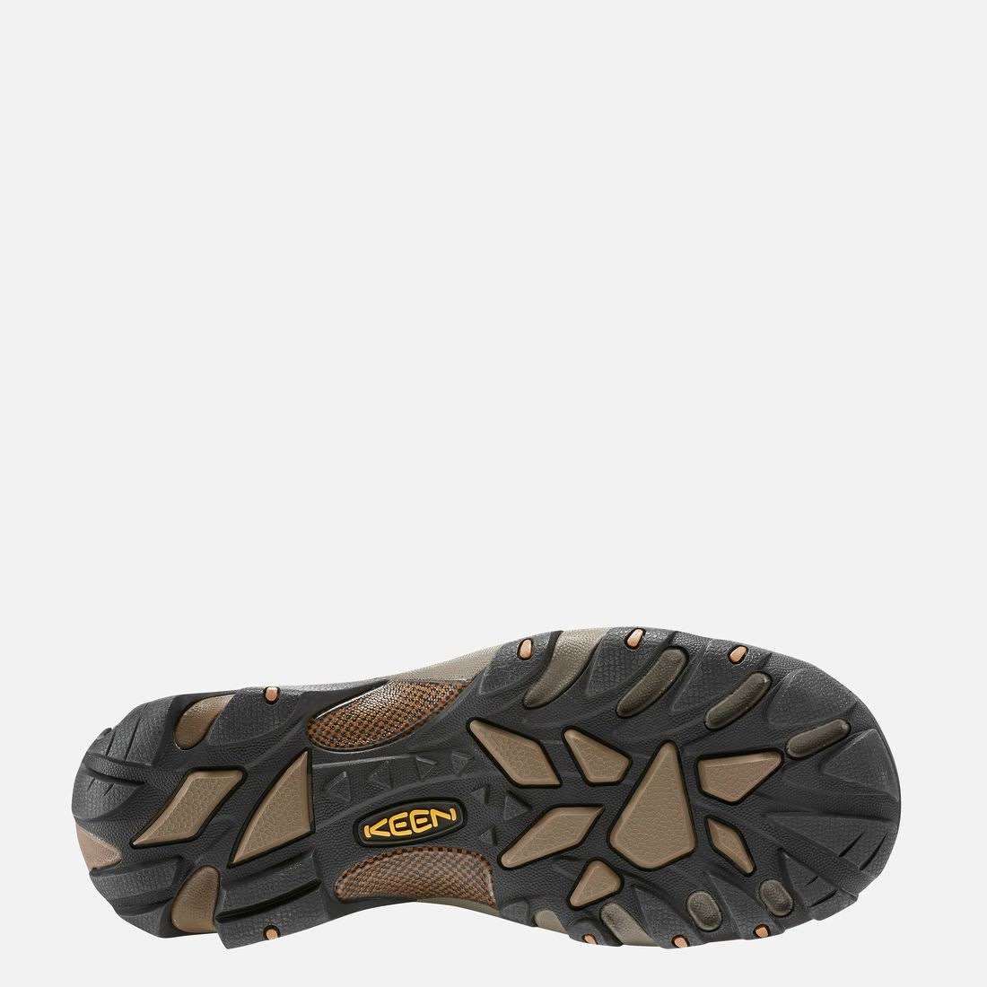 Cascade Brown Waterproof Hiking Shoes D314