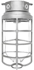 Vaporproof Ceiling Silver Globe Cast Light D846