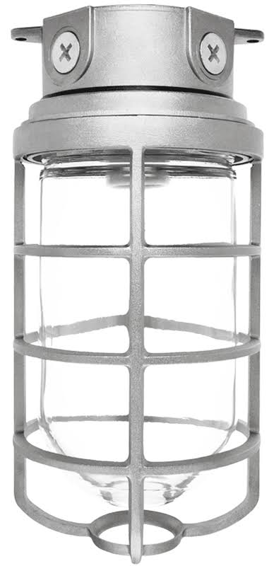Vaporproof Ceiling Silver Globe Cast Light D846