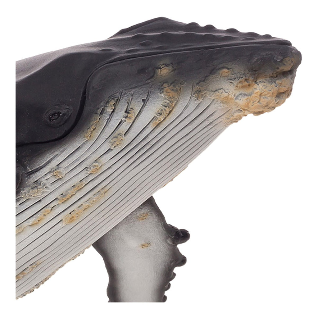 Large Hump Back Whale Wildlife Figurine L360870