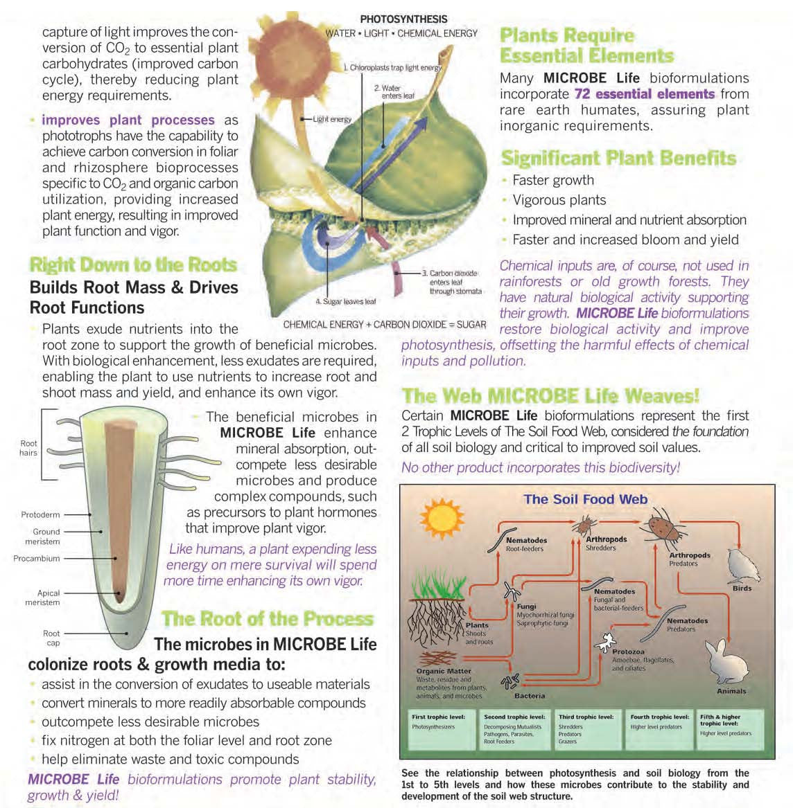 Photosynthesis Plus Pint M773813