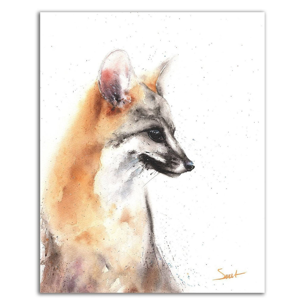 22x22 x 17x22 Grey Fox Print on Canvas Y8132