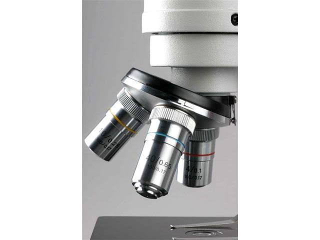 40X-640X Student Compound Microscope with Mechanical Stage Y368258