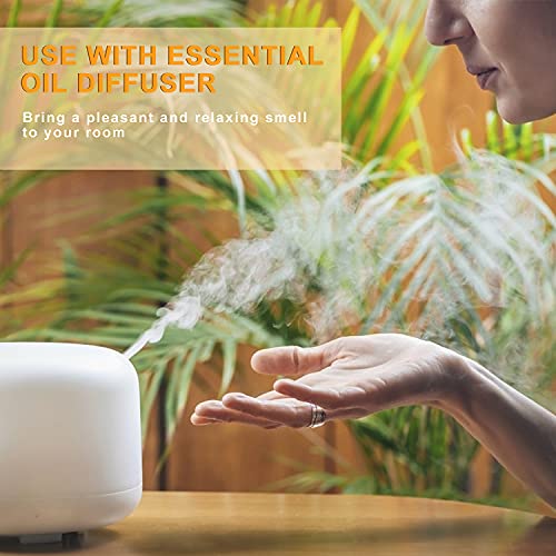 2 Pack x10m Bergamot Essential Oil G872999