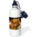 Leopard 21 oz Sports Water Bottle C9887