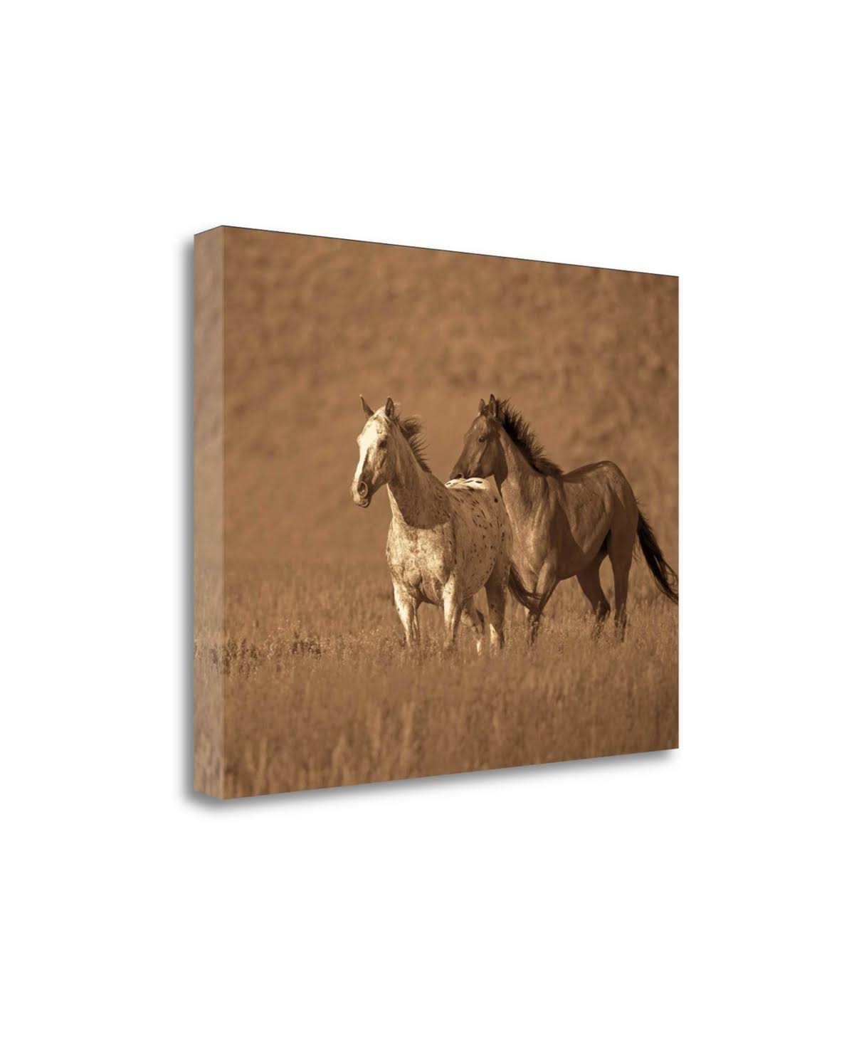 22x22 x 28x22 Fine Art Giclee Print P239