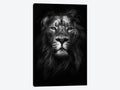 Canvas Wall Decor Prints - Lions Art D796240