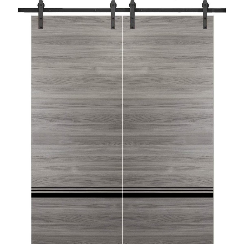 Double Barn Door 36 x 80 inches Grey Matte with Frosted Glass Stainless Steel Rail Hangers Solid Panel Interior Doors D865