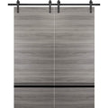 Double Barn Door 36 x 80 inches Grey Matte with Frosted Glass Stainless Steel Rail Hangers Solid Panel Interior Doors D865