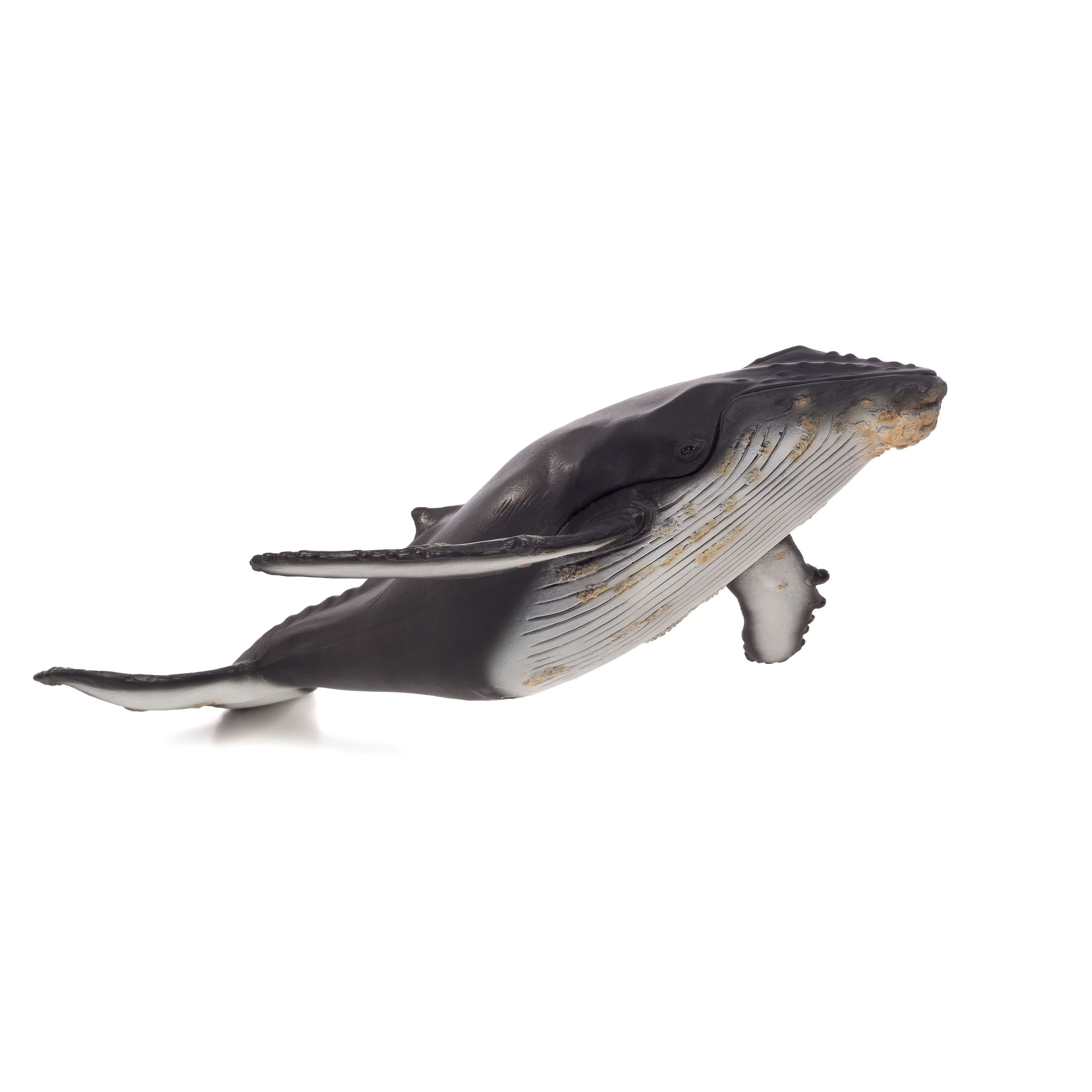 Large Hump Back Whale Wildlife Figurine L360870