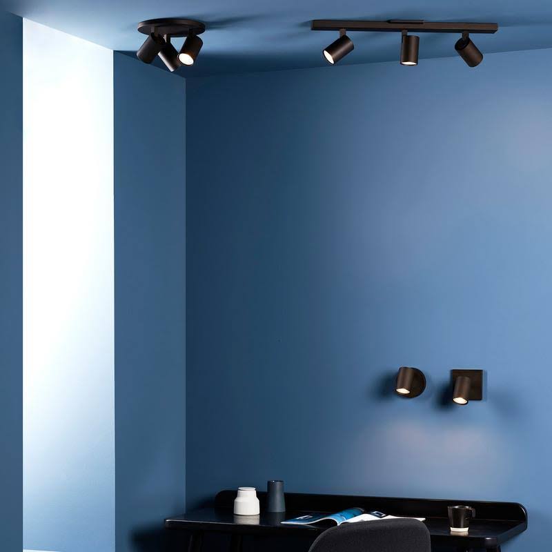 Indoor Dimmable Spotlight in Matt Nickel R556