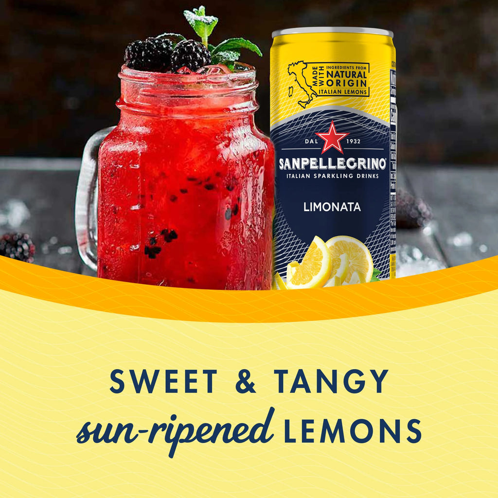 Sparkling Lemon Beverage, 24 Pack of 11.15 Fl Oz Cans C246