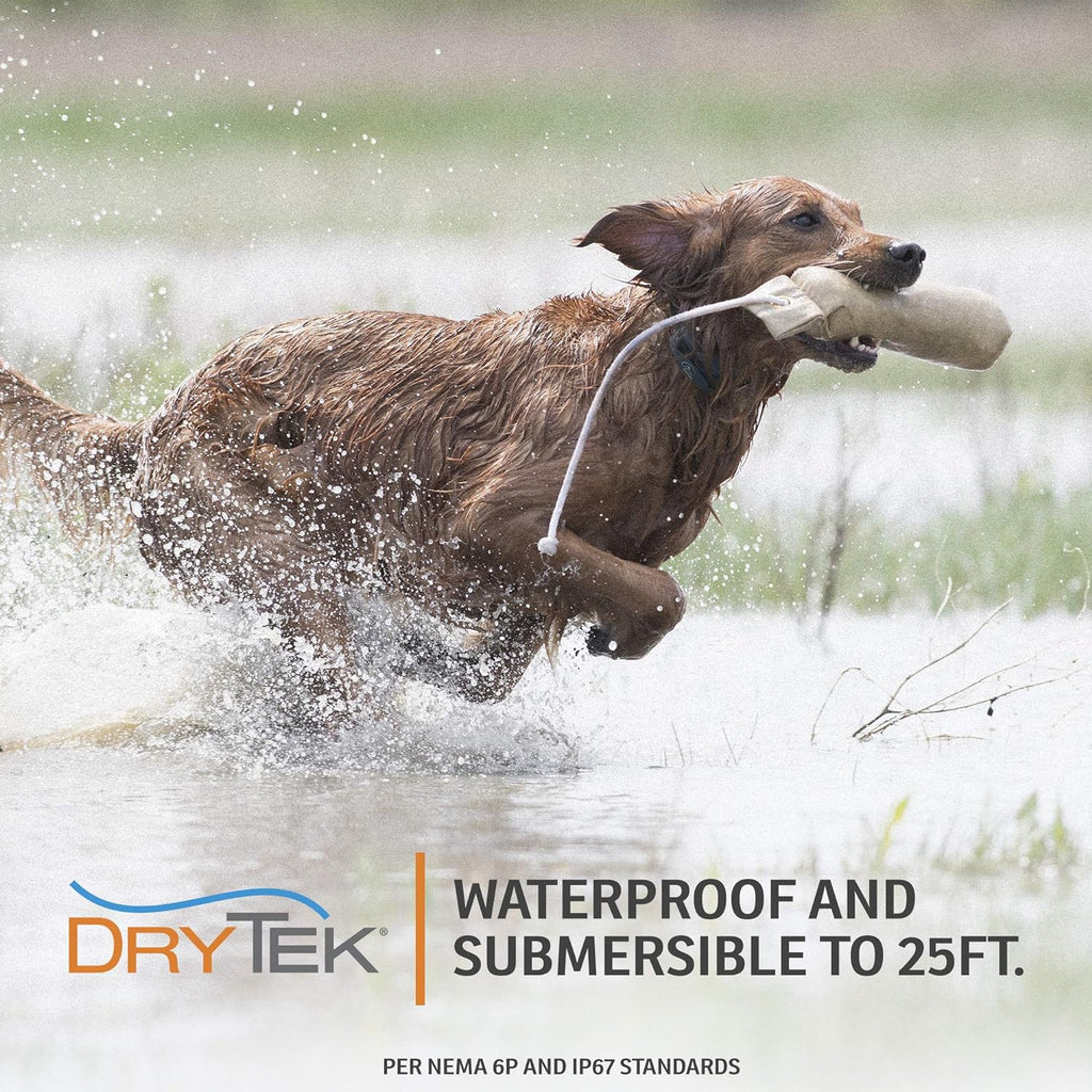 Waterproof Rechargeable Remote Dog Training E-Collar A504380