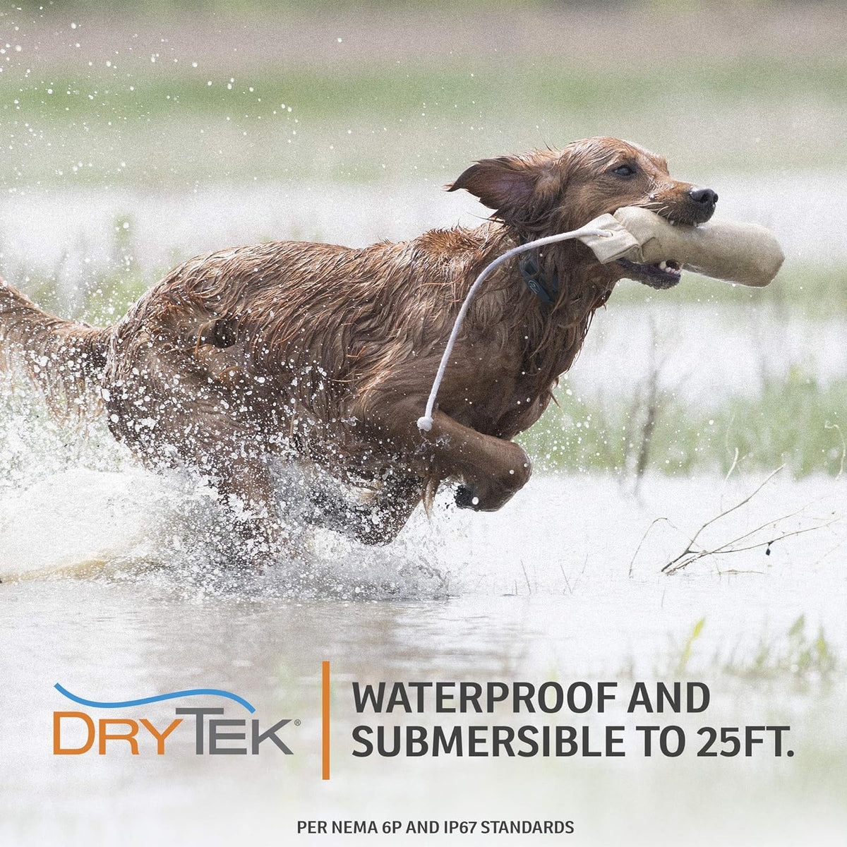 Waterproof Rechargeable Remote Dog Training E-Collar A504380