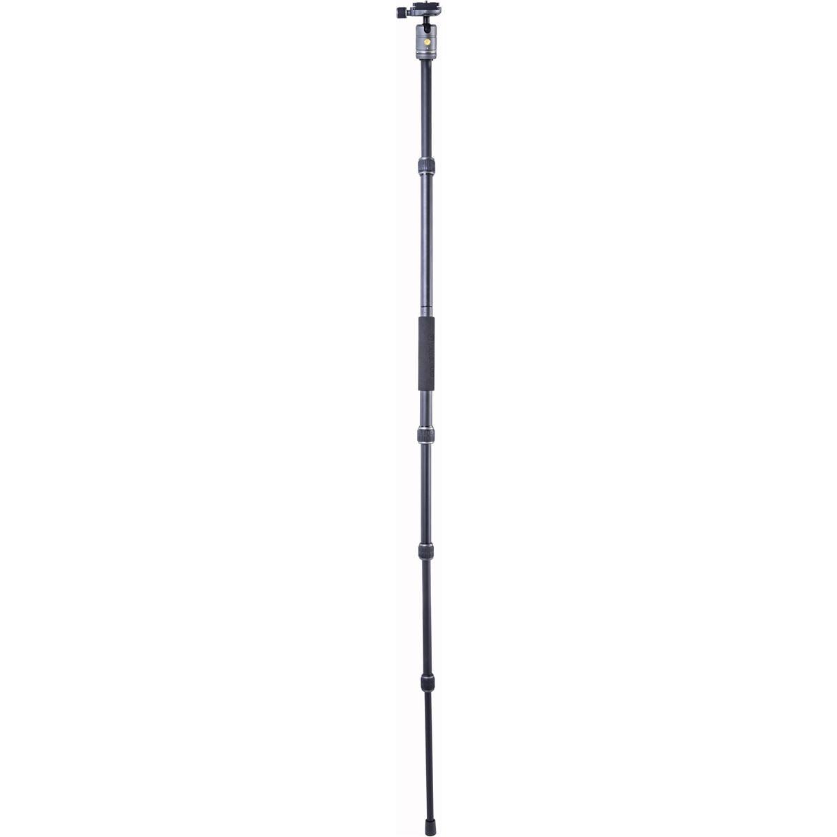 Aluminum Tripod/Monopod with Ball Head V454242