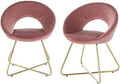 Grey Velvet Upholstered Arm Chair Set of 2 N7306