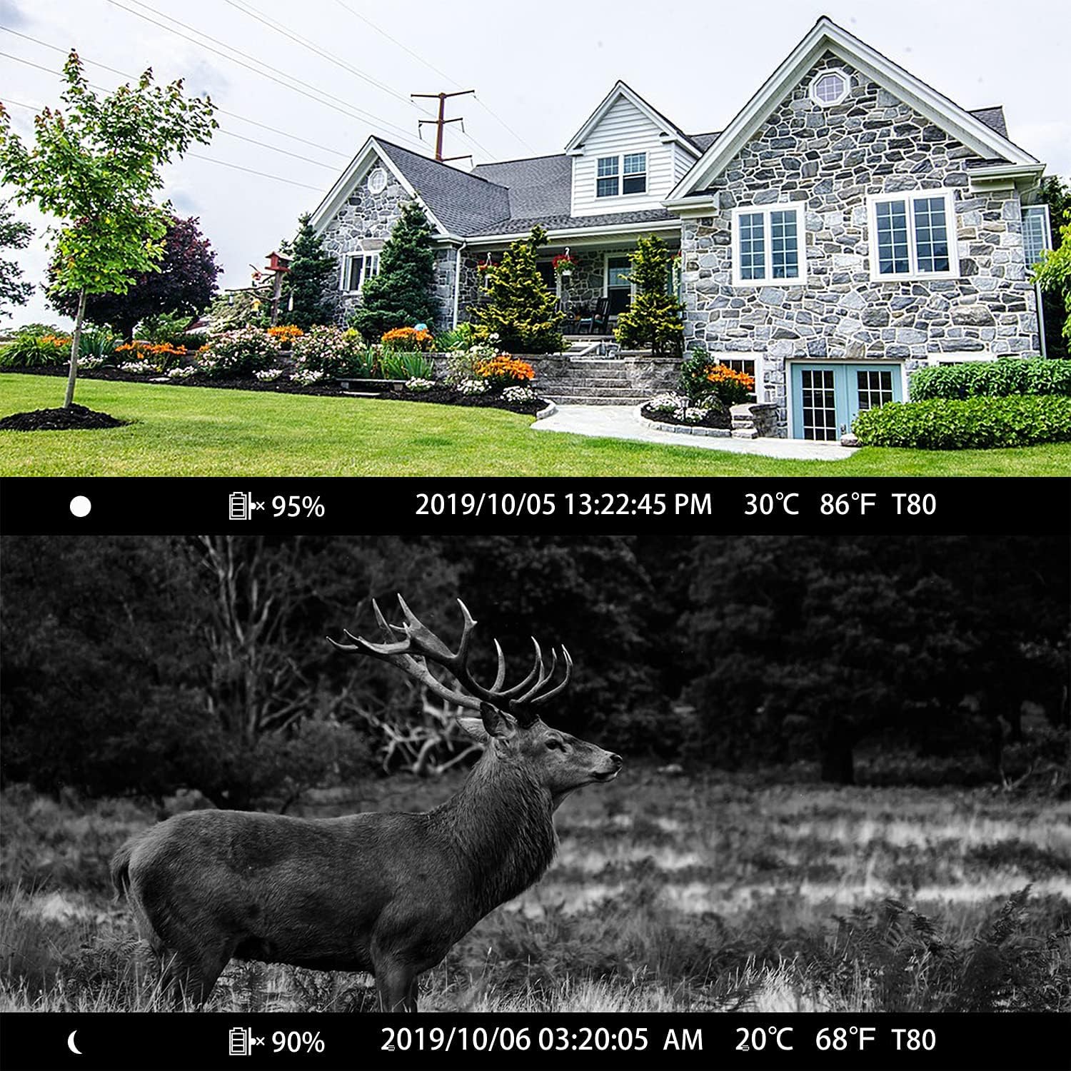 24MP 1296P WIFI Trail Camera with 120° Wide-Angle Night Vision Infrared Motion Sensor IP66 Waterproof S21302