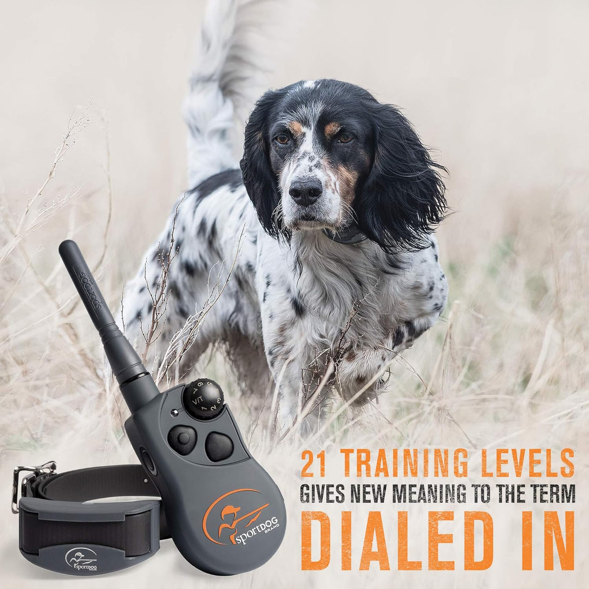 Waterproof Rechargeable Remote Dog Training E-Collar A504380