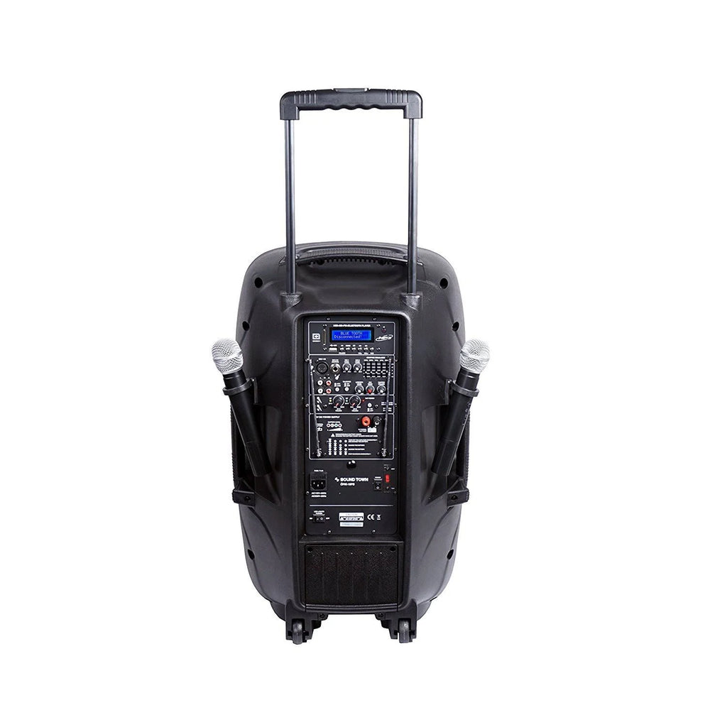 15-inch 2-Way Portable PA Speaker with Built-in Rechargeable Battery, 2 Wireless Mics, Bluetooth, USB, SD Card Reader, LED G421