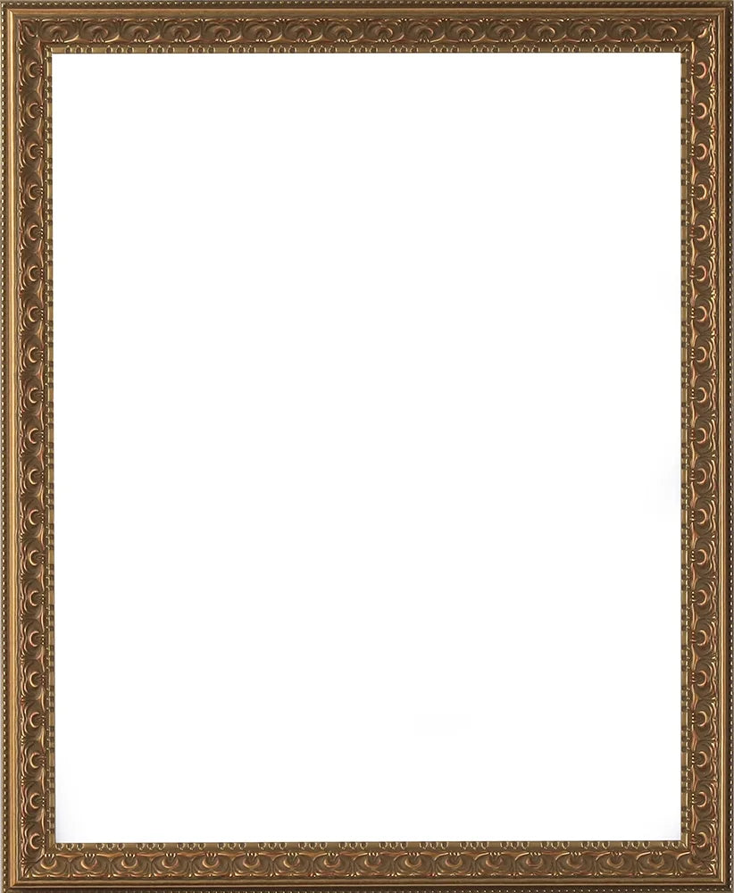 Antique Gold 12x18 Polystyrene Picture Frame E314