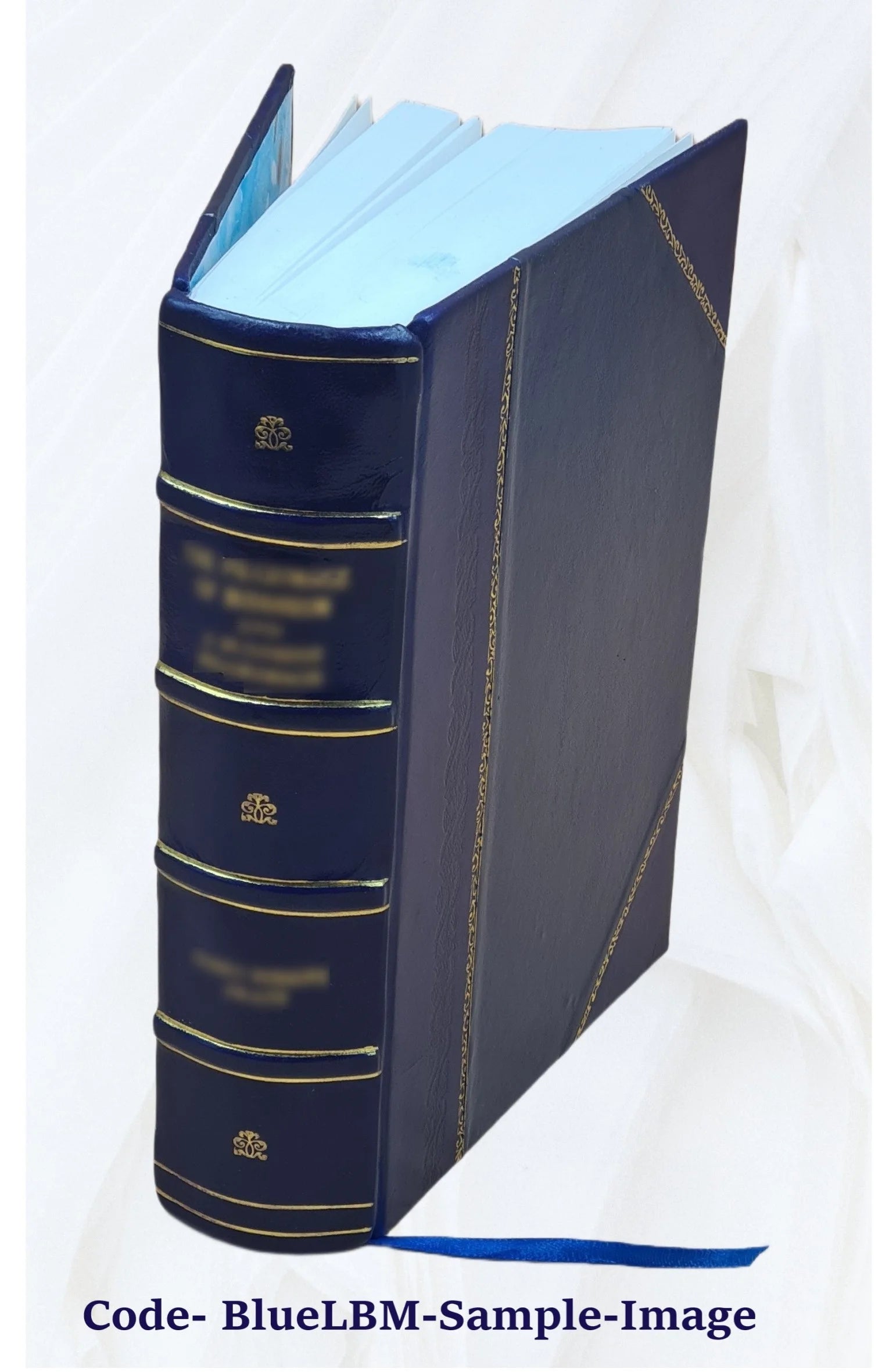 Leather Bound Book S705
