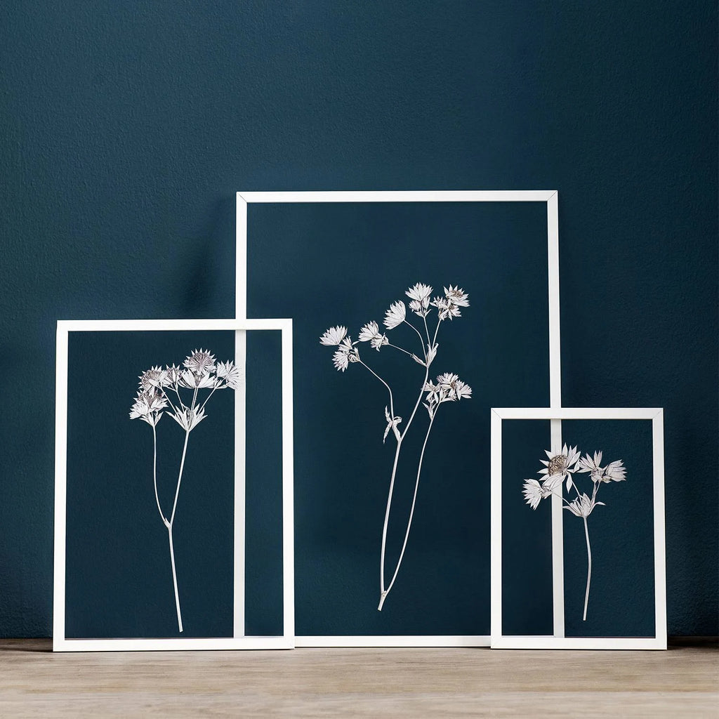 A2 White Photo Frame S542658