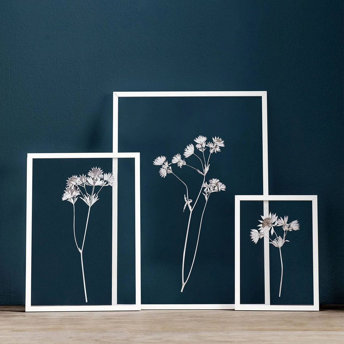 A2 White Photo Frame S542658
