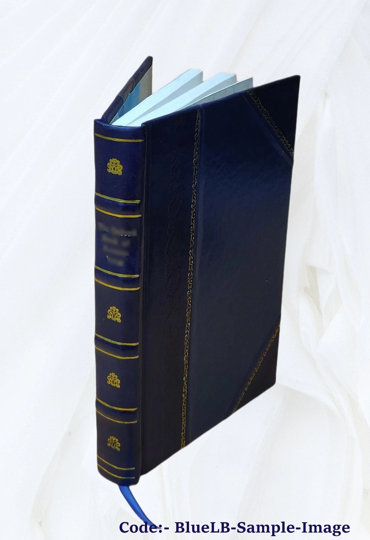Leather Bound Book O905909