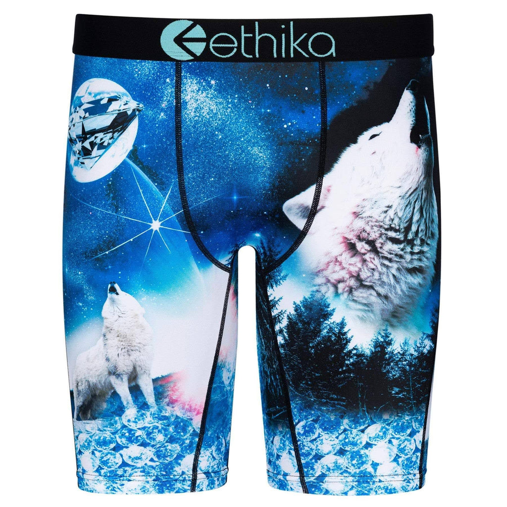 Blue/White Dog Boxers S516