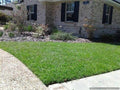 Centipede Grass Seed 10 lbs. R5256