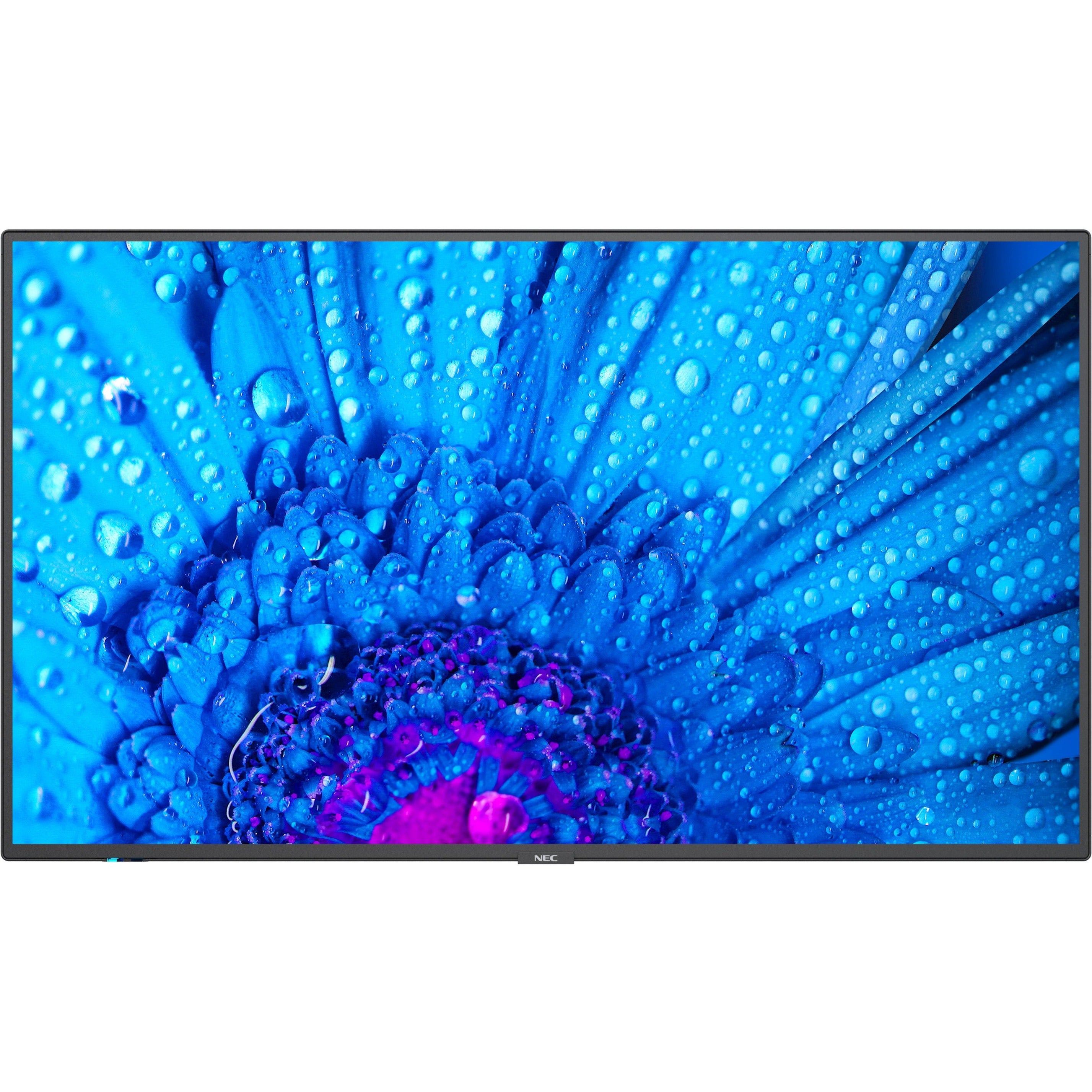 Black 43" 3840 x 2160 (4K) LED LCD Monitor D430569