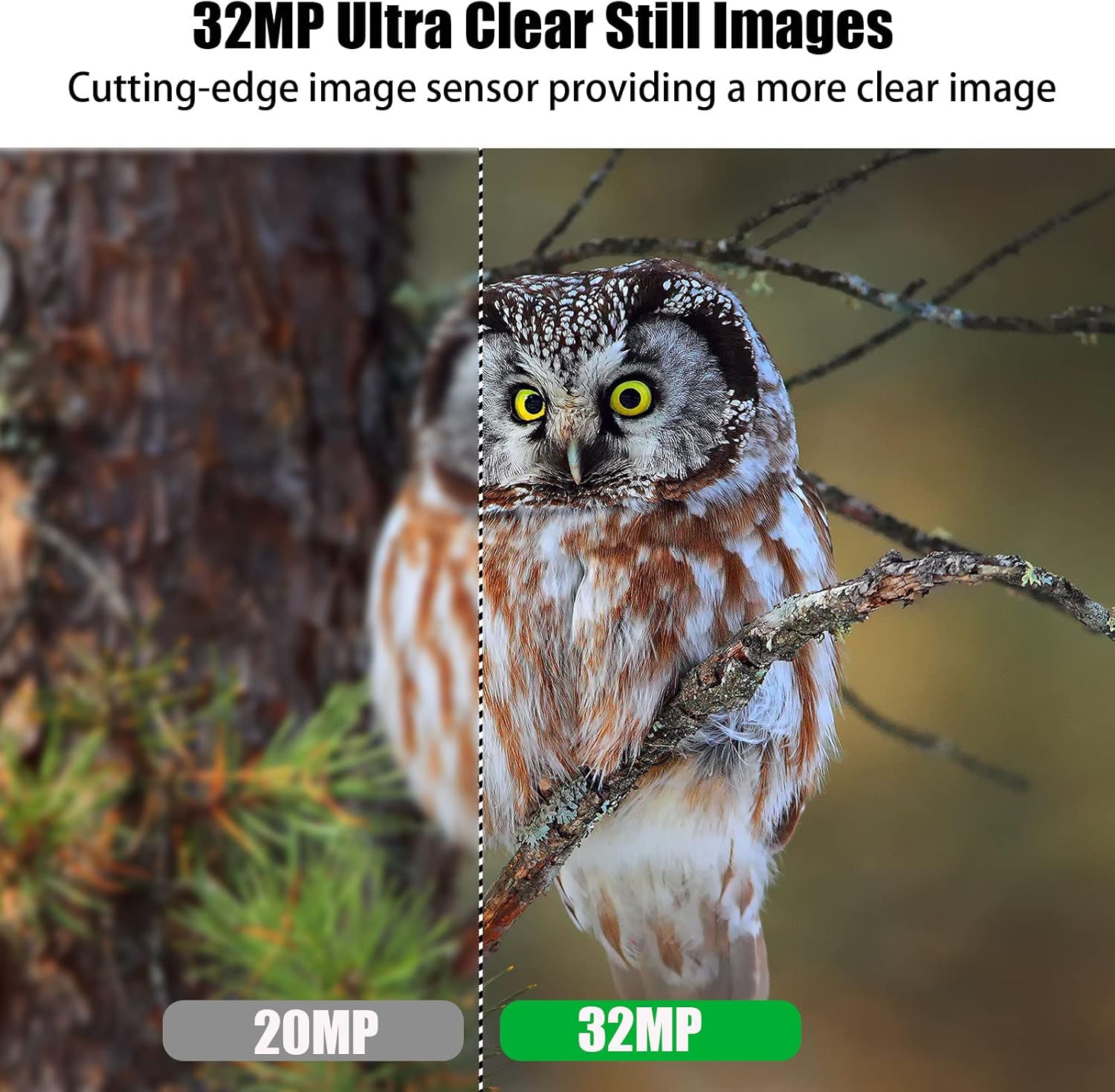 32MP 4K Night Vision Trail Camera with 32G Card & 8AA Batteries M99029