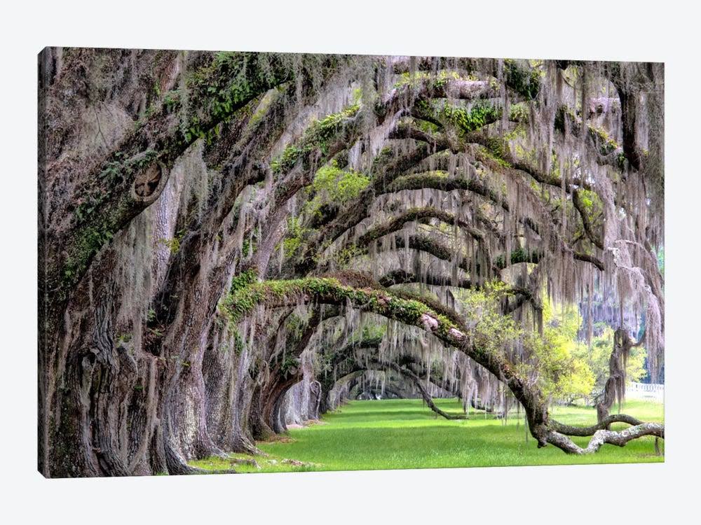 Canvas Wall Decor Prints R57181