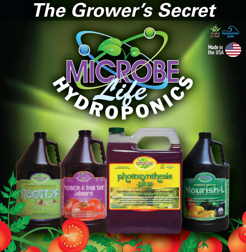 Photosynthesis Plus Pint M773813