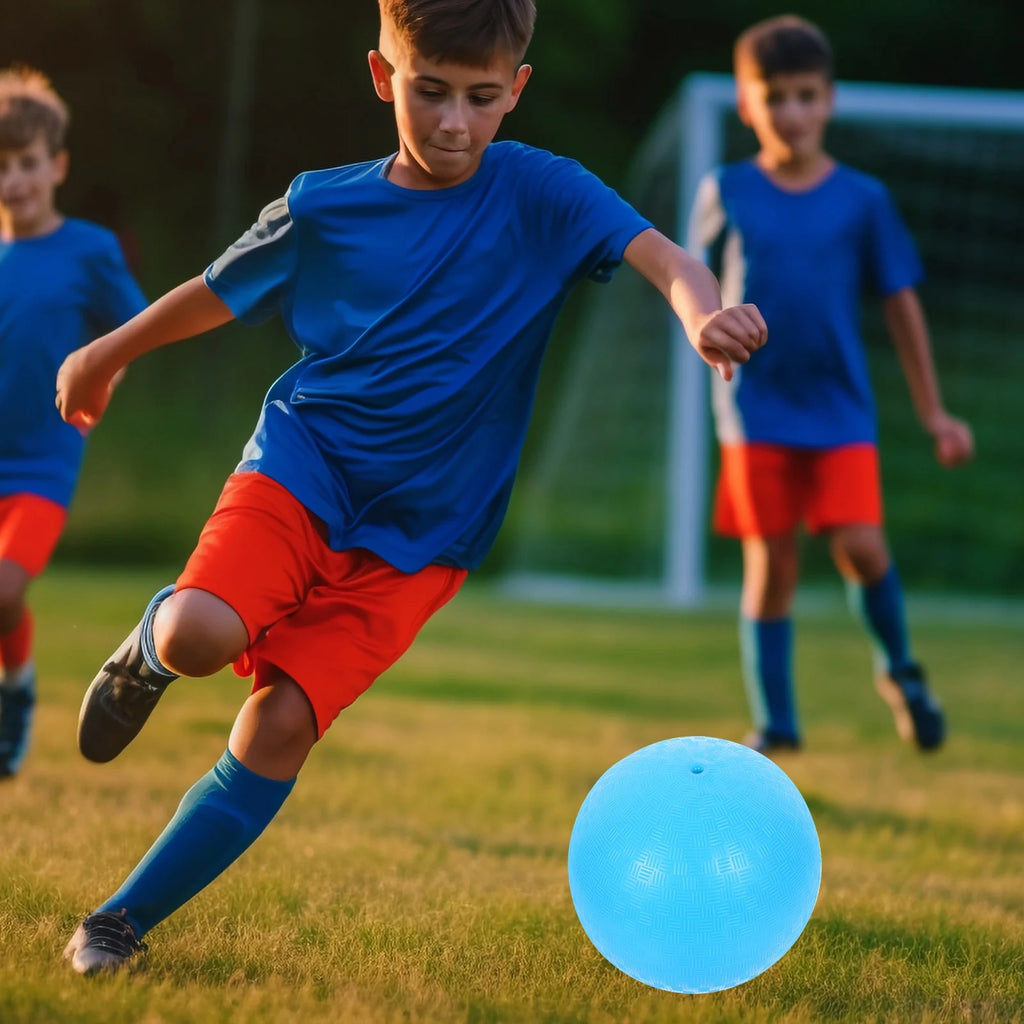 Inflatable Pvc Ball Playground Game A238