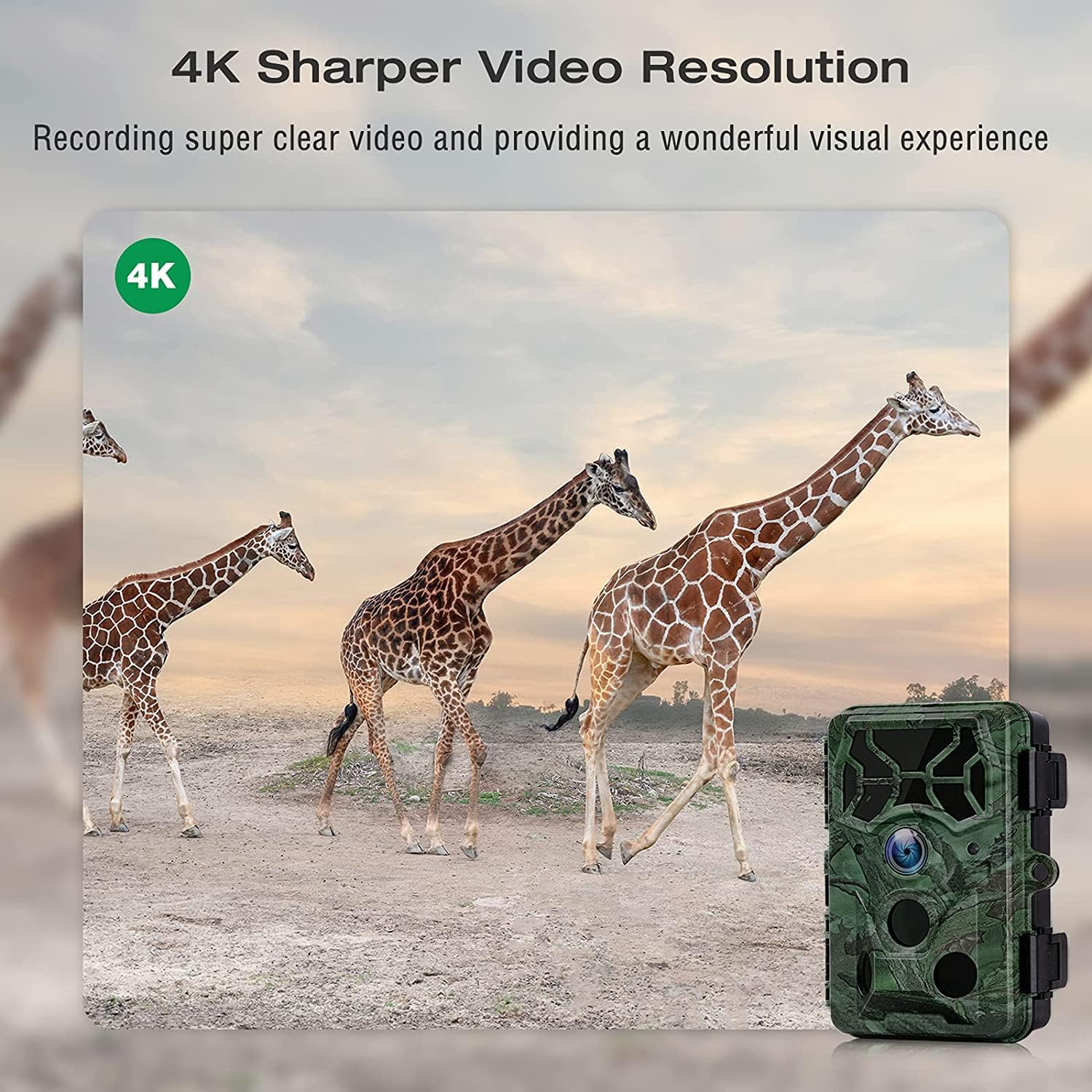32MP 4K Night Vision Trail Camera with 32G Card & 8AA Batteries M99029