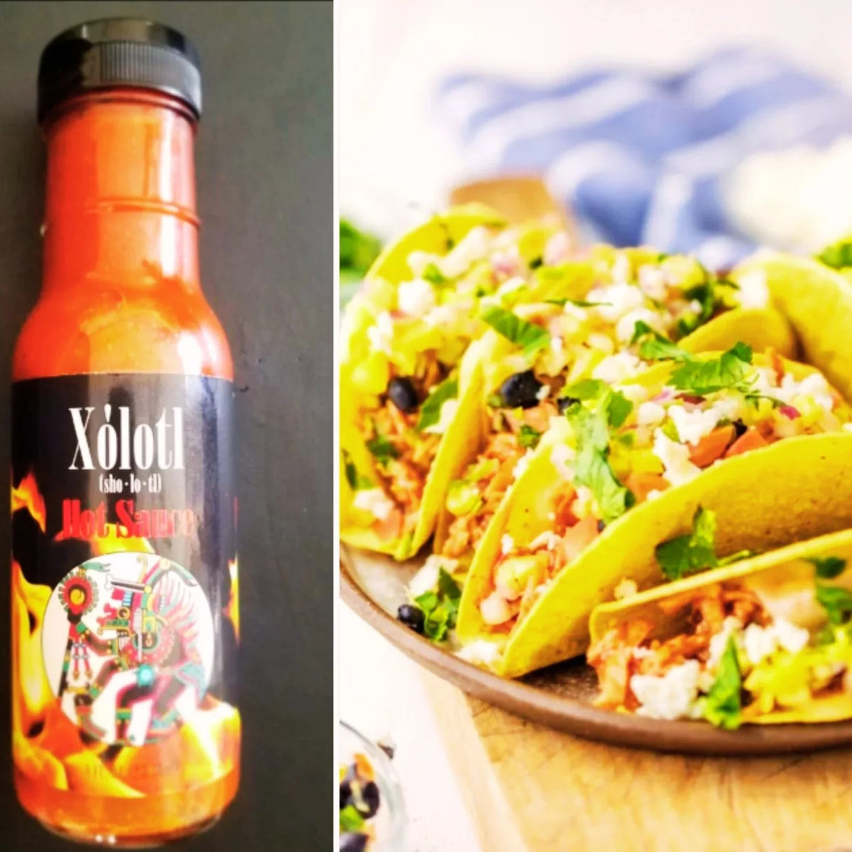 3 Pack Fiery Hot Tomato Based Sauce with Jalapenos, 8oz Bottles G644