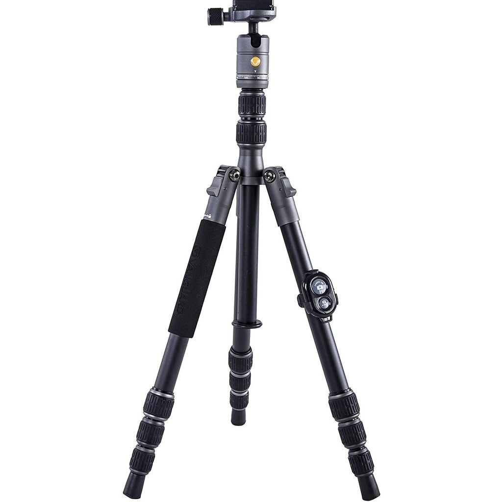 Aluminum Tripod/Monopod with Ball Head V454242