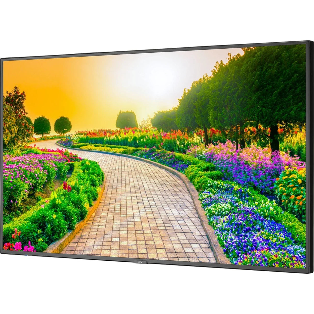 Black 43" 3840 x 2160 (4K) LED LCD Monitor D430569