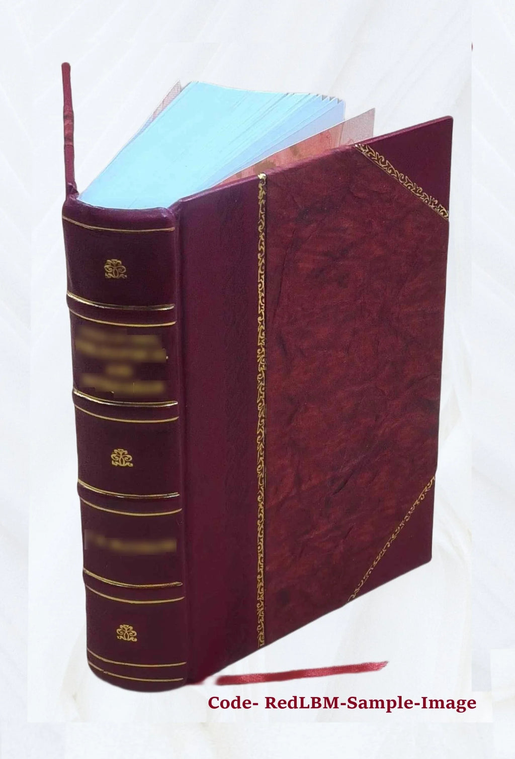 Leather Bound Book S705