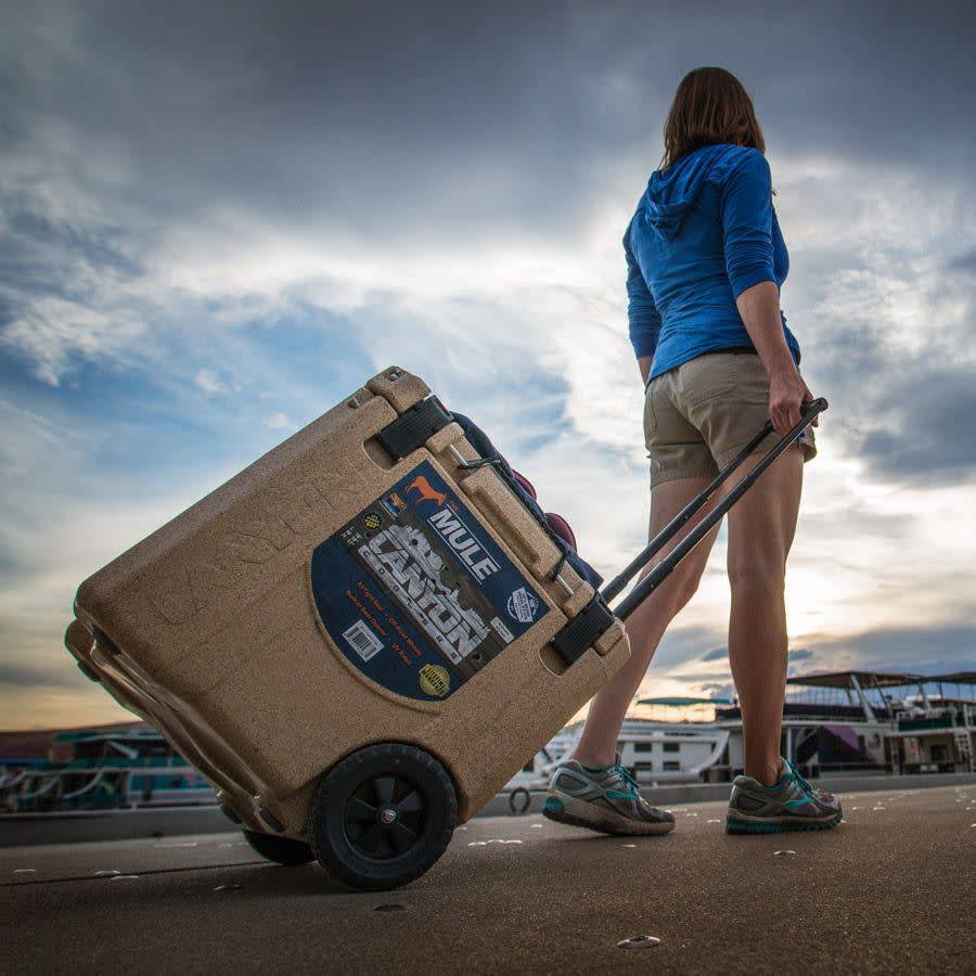 Wheeled Cooler R514806
