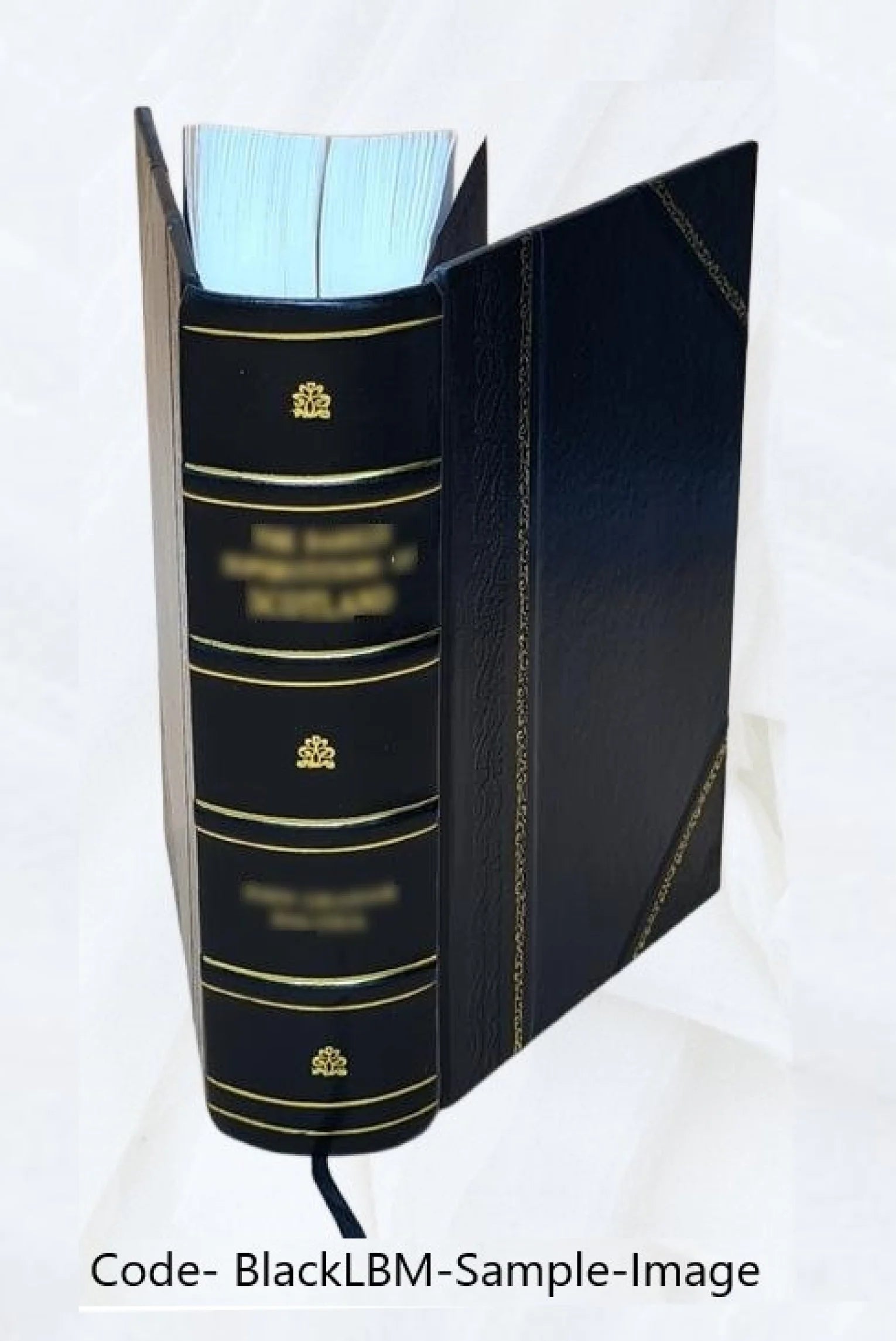 Leather Bound Book S705