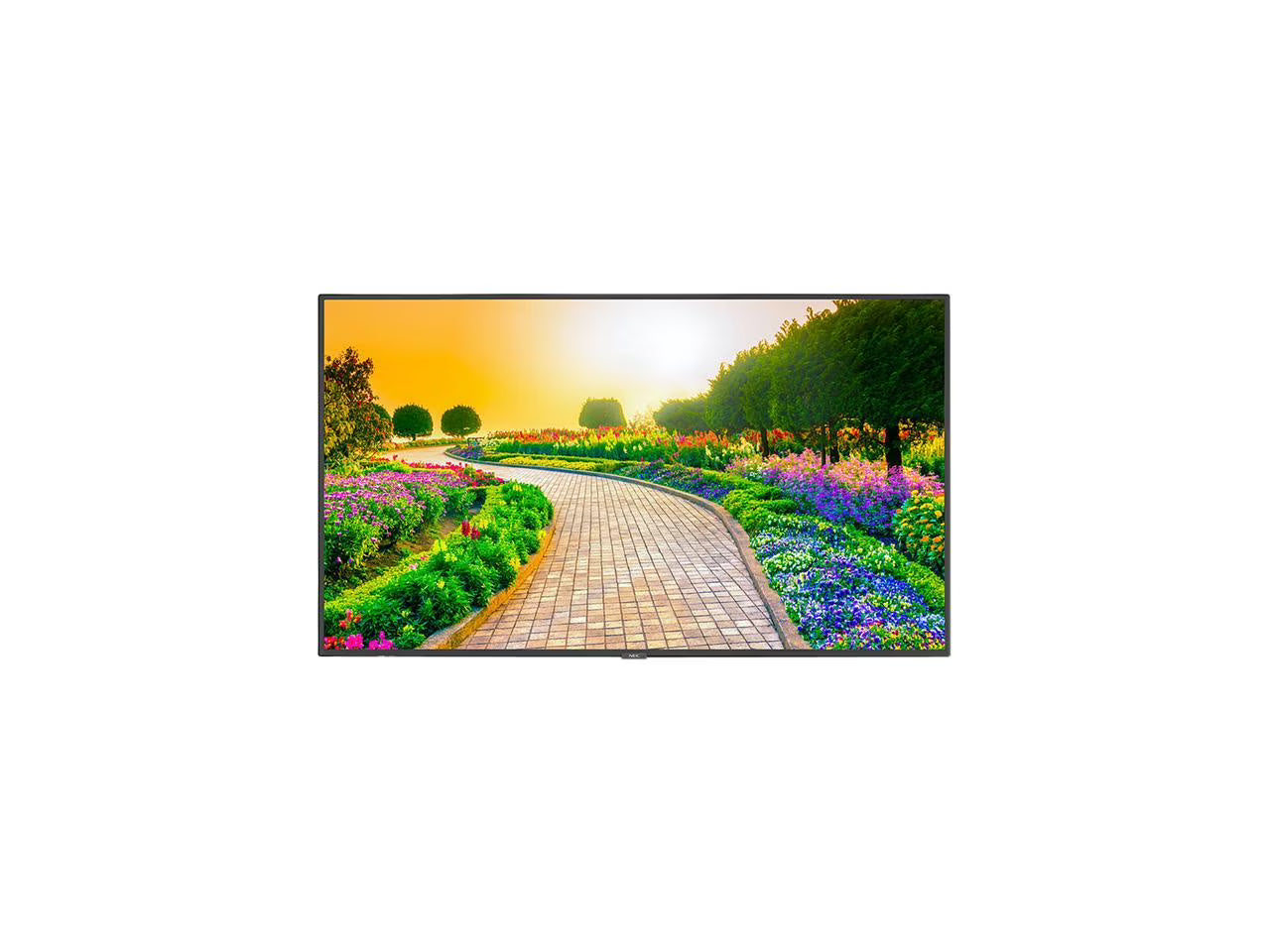 Black 43" 3840 x 2160 (4K) LED LCD Monitor D430569