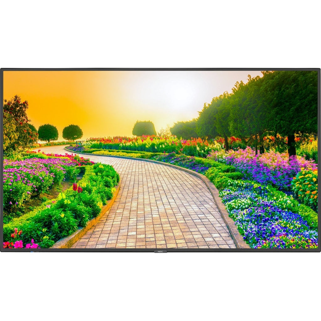 Black 43" 3840 x 2160 (4K) LED LCD Monitor D430569