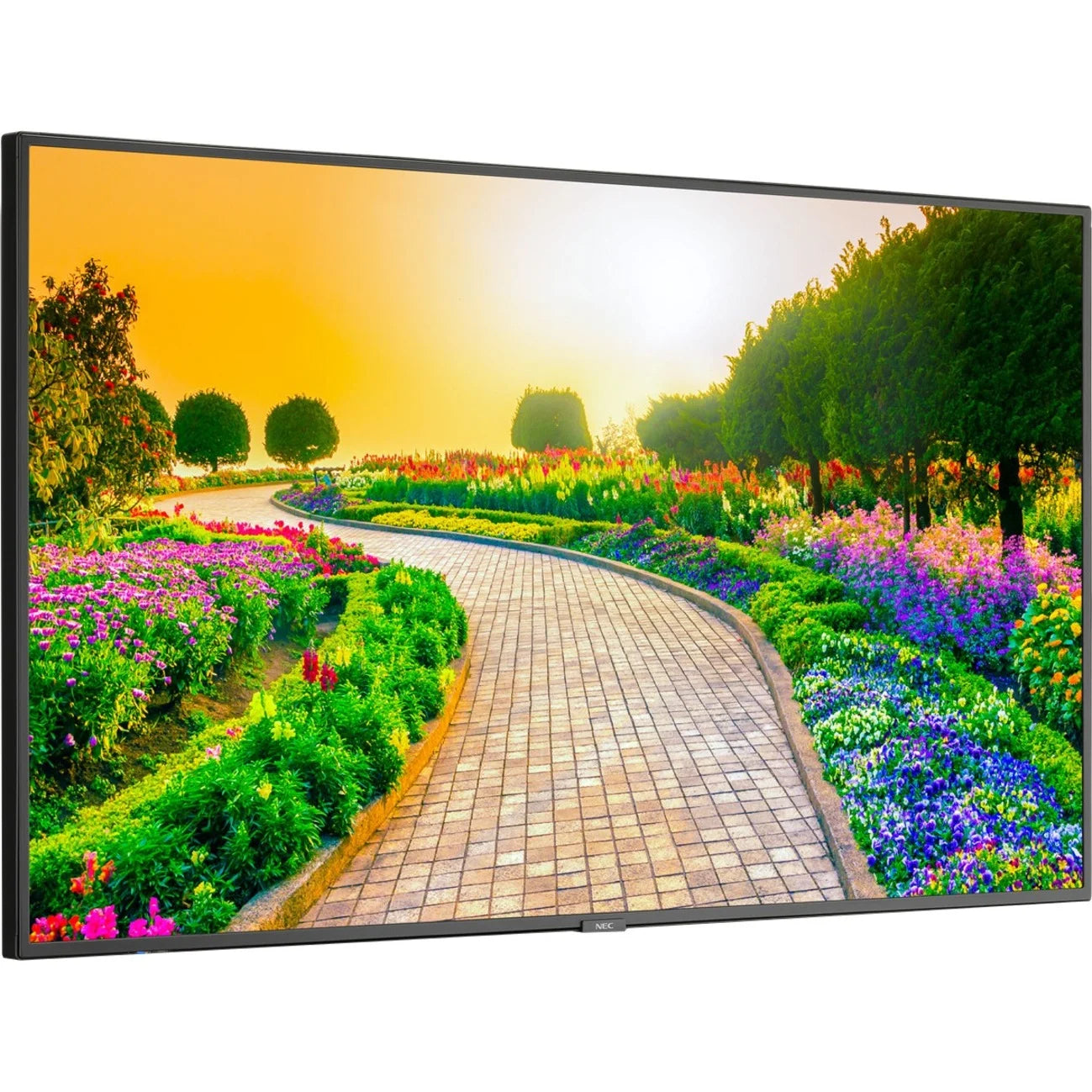 Black 43" 3840 x 2160 (4K) LED LCD Monitor D430569