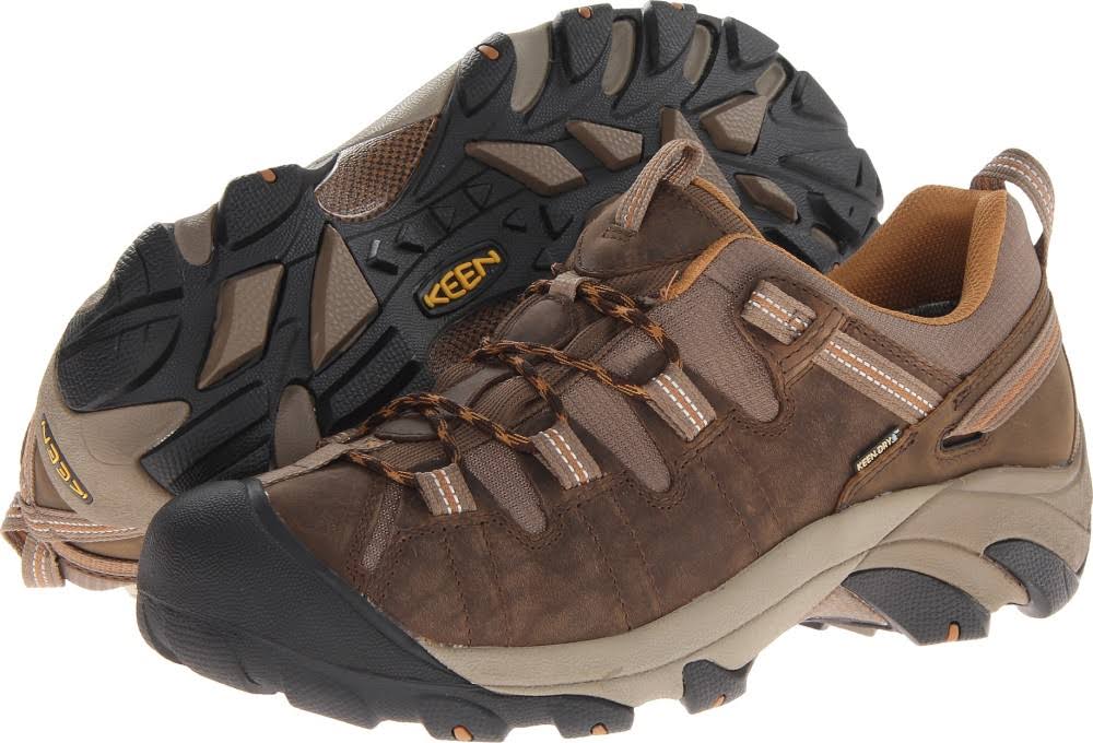 Cascade Brown Waterproof Hiking Shoes D314