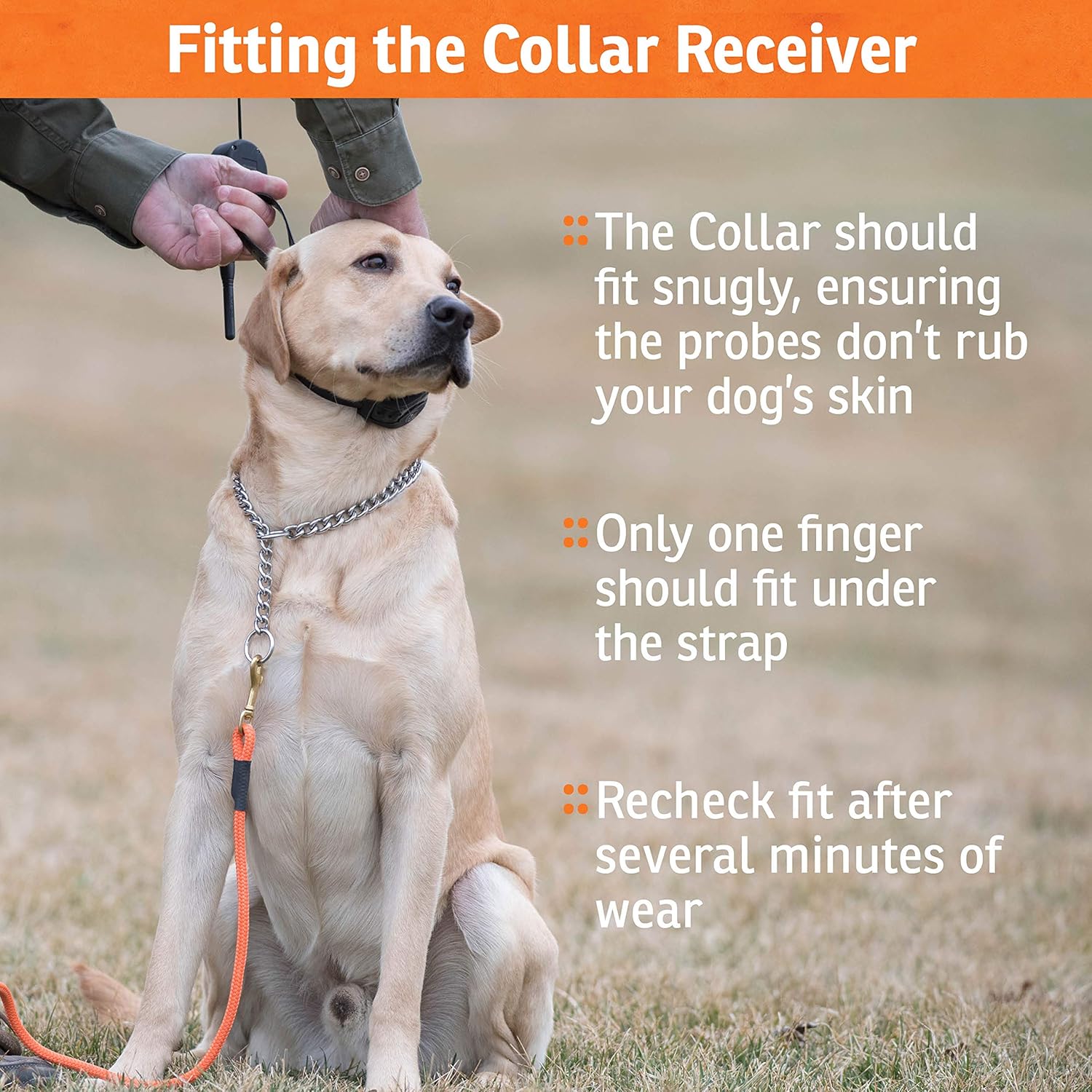Waterproof Rechargeable Remote Dog Training E-Collar A504380